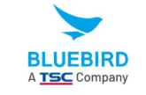Bluebird